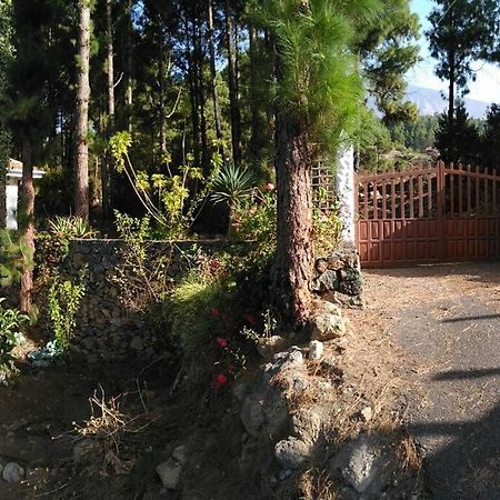 Villa Floral Garden House Icod De Los Vinos Exterior foto