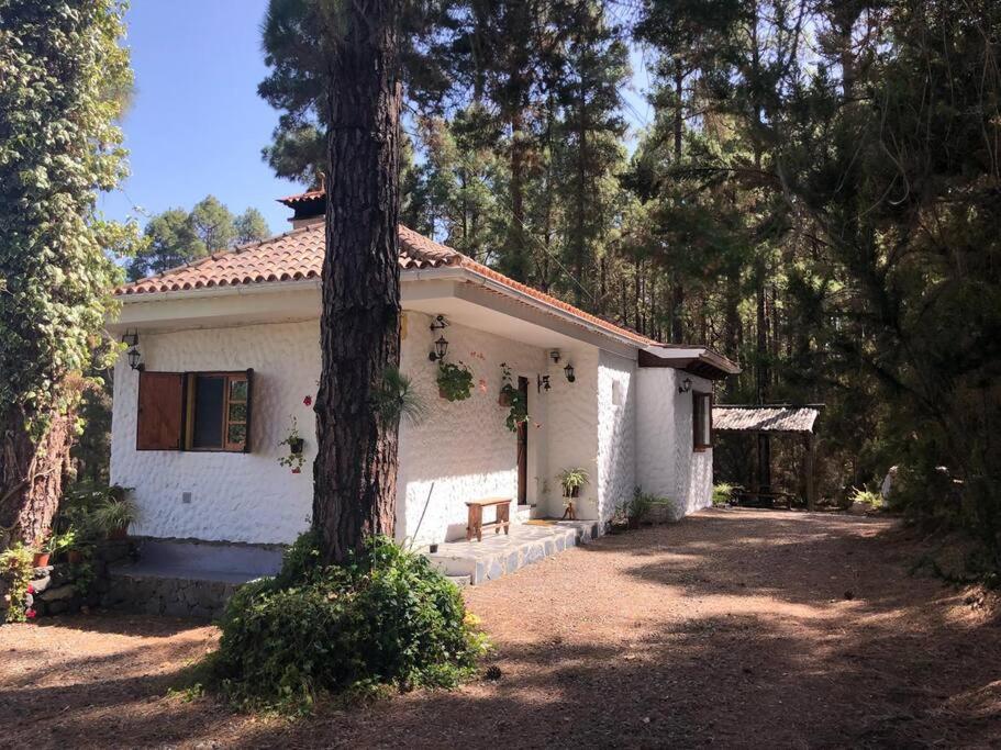 Villa Floral Garden House Icod De Los Vinos Exterior foto
