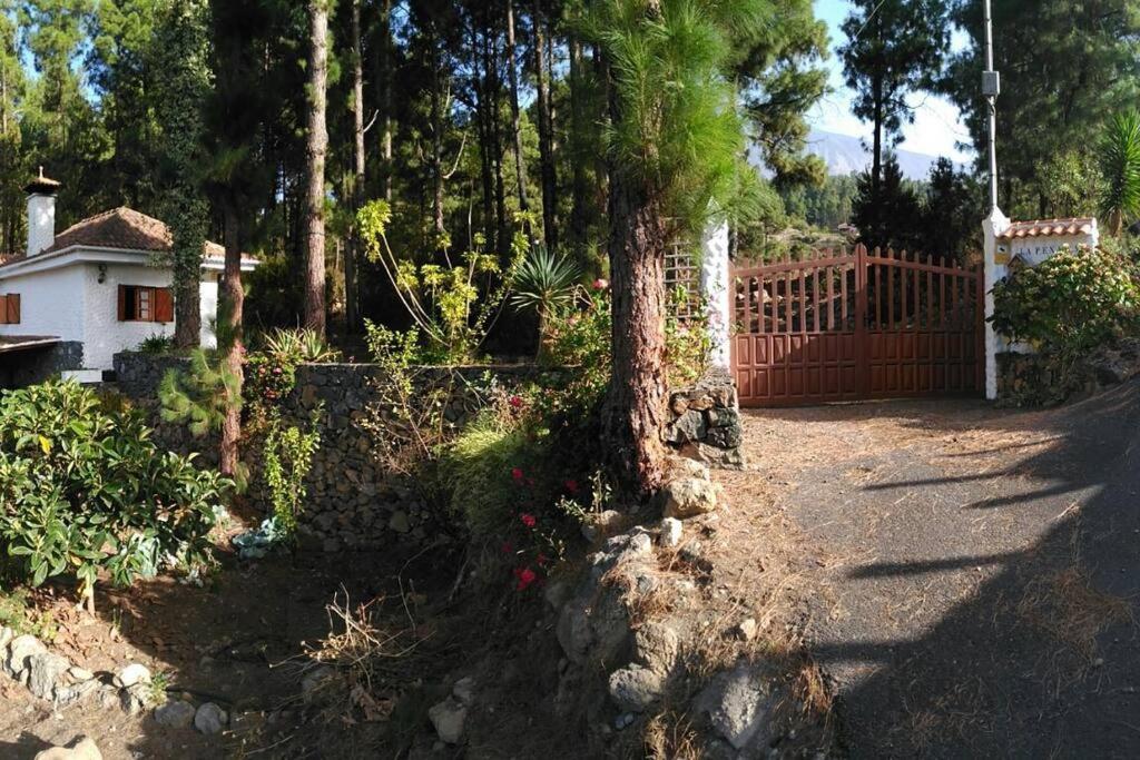 Villa Floral Garden House Icod De Los Vinos Exterior foto