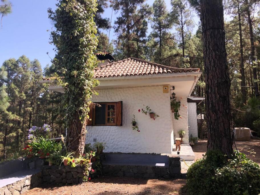 Villa Floral Garden House Icod De Los Vinos Exterior foto